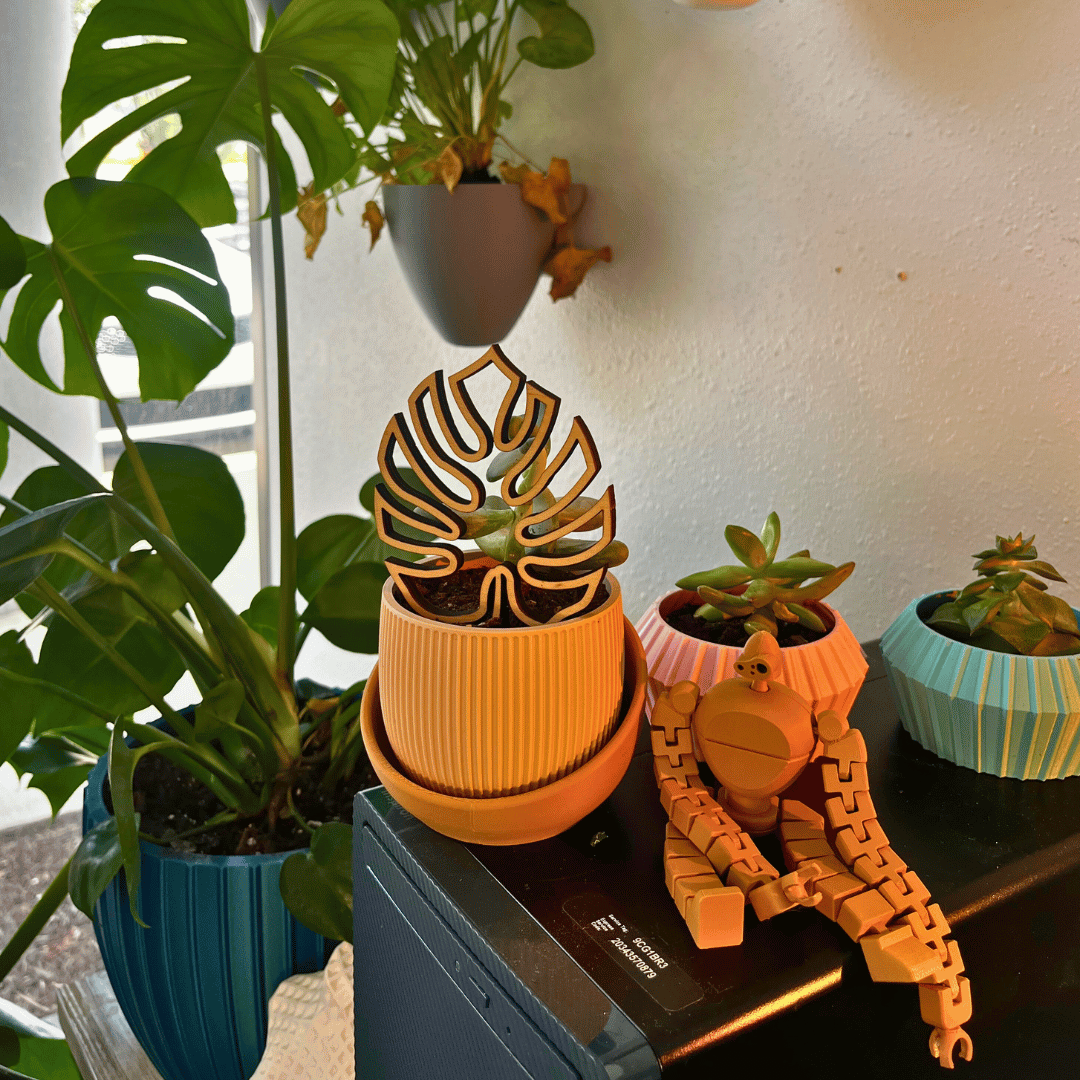 The Eero Planter | Stylish 2-Piece Drip Tray Planter Design for Indoor Potting