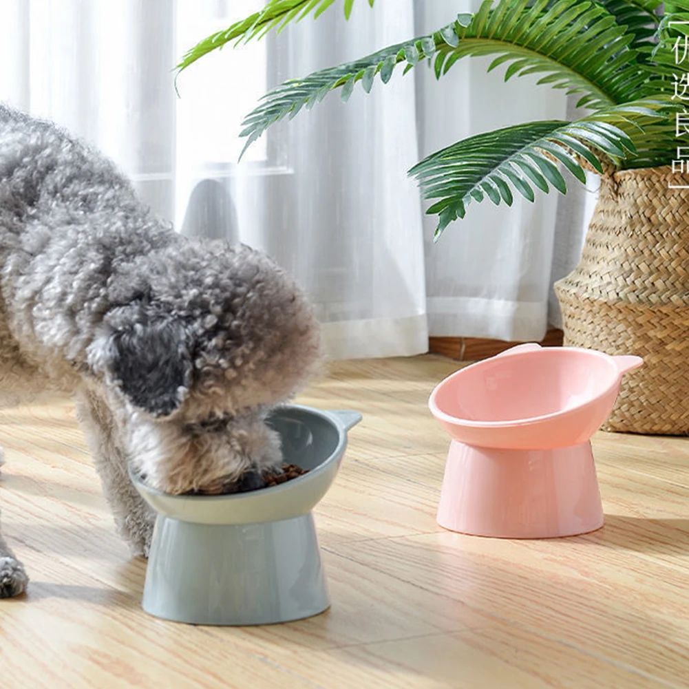 Tilted Elevated Pet Food Bowl