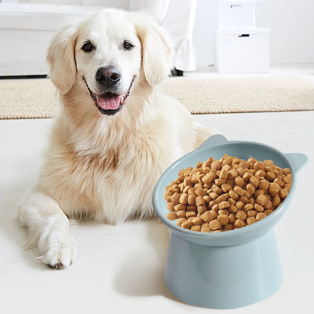 Tilted Elevated Pet Food Bowl
