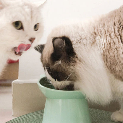 Tilted Elevated Pet Food Bowl