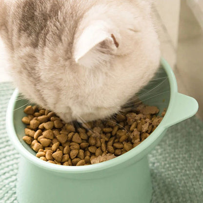 Tilted Elevated Pet Food Bowl
