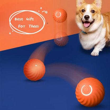 Rechargeable Interactive Dog Jumping Ball Toy