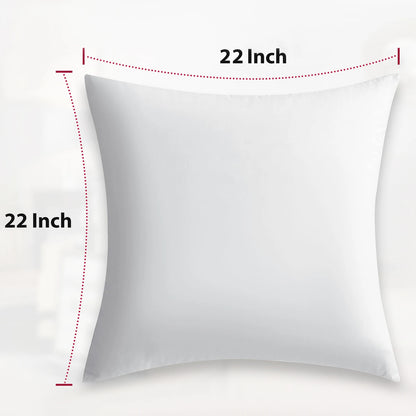 Set of 4 Throw Pillow Inserts