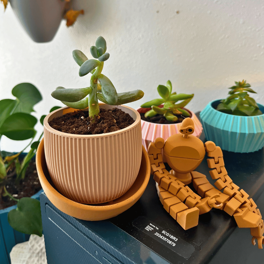 The Eero Planter | Stylish 2-Piece Drip Tray Planter Design for Indoor Potting