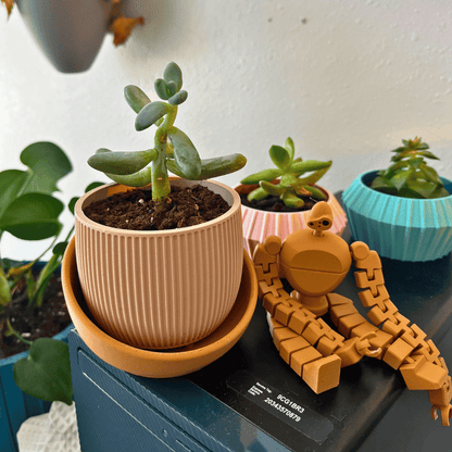 The Eero Planter | Stylish 2-Piece Drip Tray Planter Design for Indoor Potting