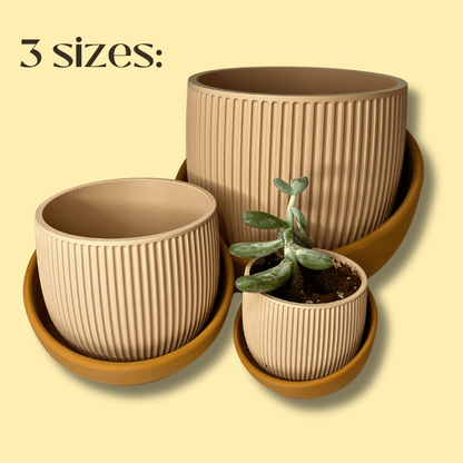 The Eero Planter | Stylish 2-Piece Drip Tray Planter Design for Indoor Potting