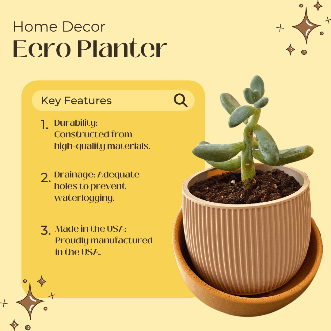 The Eero Planter | Stylish 2-Piece Drip Tray Planter Design for Indoor Potting