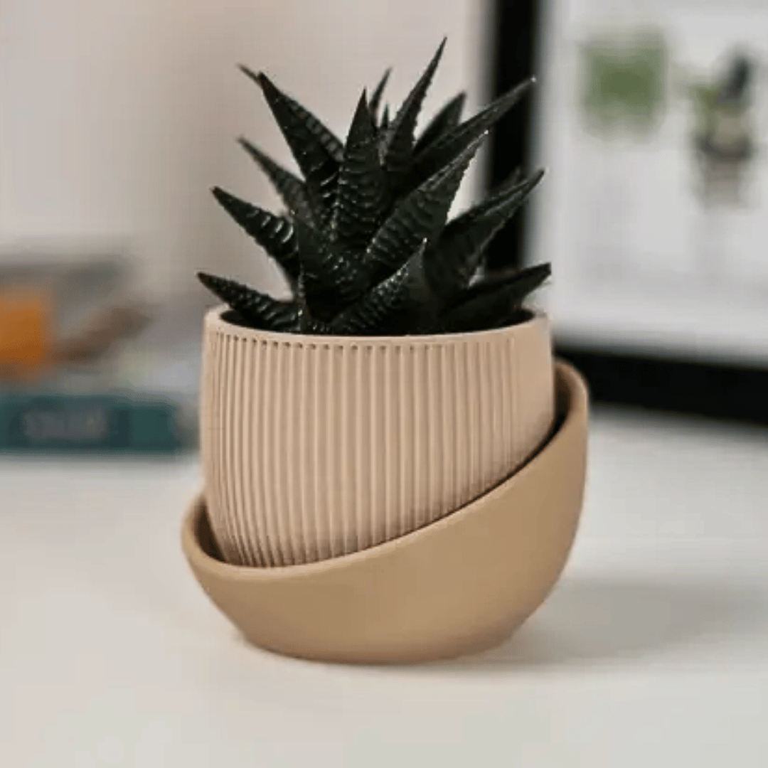 The Eero Planter | Stylish 2-Piece Drip Tray Planter Design for Indoor Potting