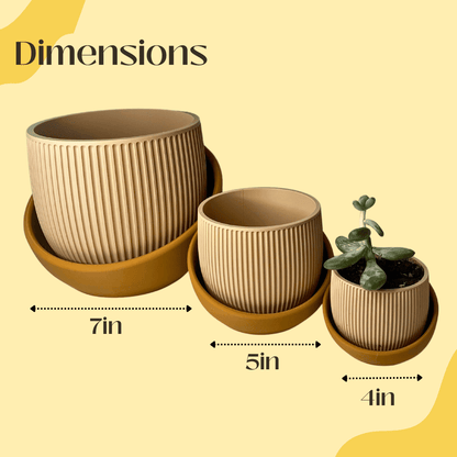 The Eero Planter | Stylish 2-Piece Drip Tray Planter Design for Indoor Potting