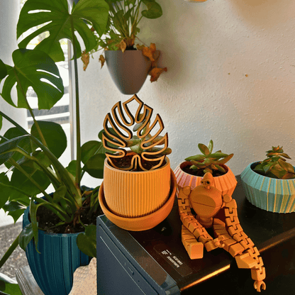 The Eero Planter | Stylish 2-Piece Drip Tray Planter Design for Indoor Potting