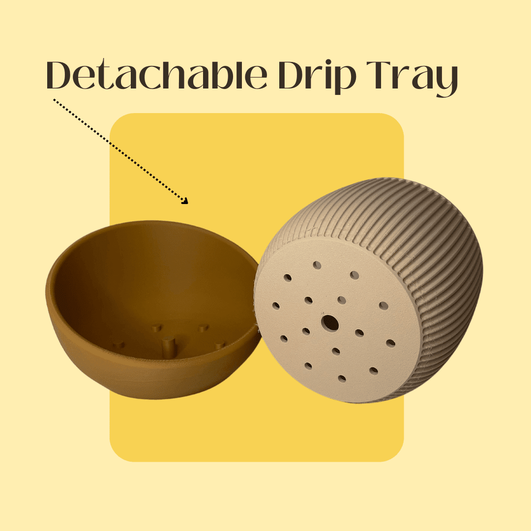 The Eero Planter | Stylish 2-Piece Drip Tray Planter Design for Indoor Potting