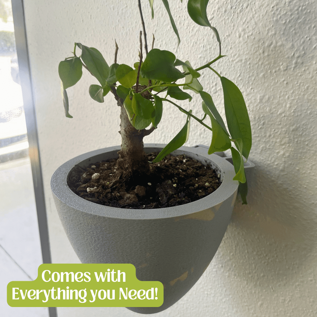 Magic Wall Planters | Easy Care Self Watering Wall Planters with Internal Water Reservoir
