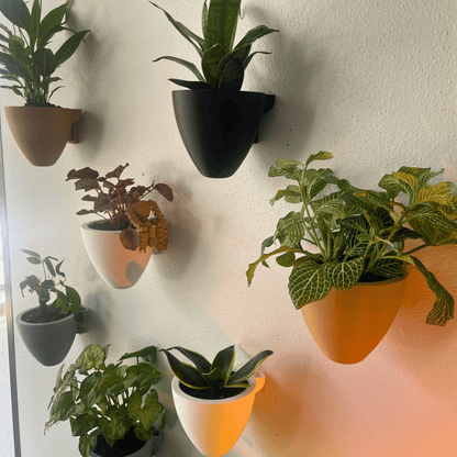 Magic Wall Planters | Easy Care Self Watering Wall Planters with Internal Water Reservoir