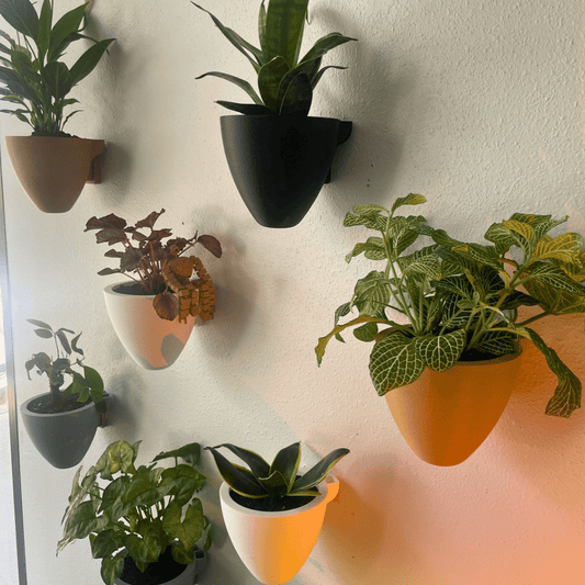 Magic Wall Planters | Easy Care Self Watering Wall Planters with Internal Water Reservoir