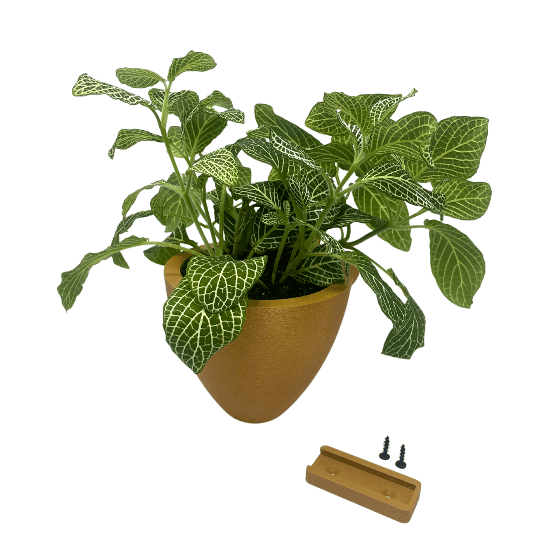Magic Wall Planters | Easy Care Self Watering Wall Planters with Internal Water Reservoir