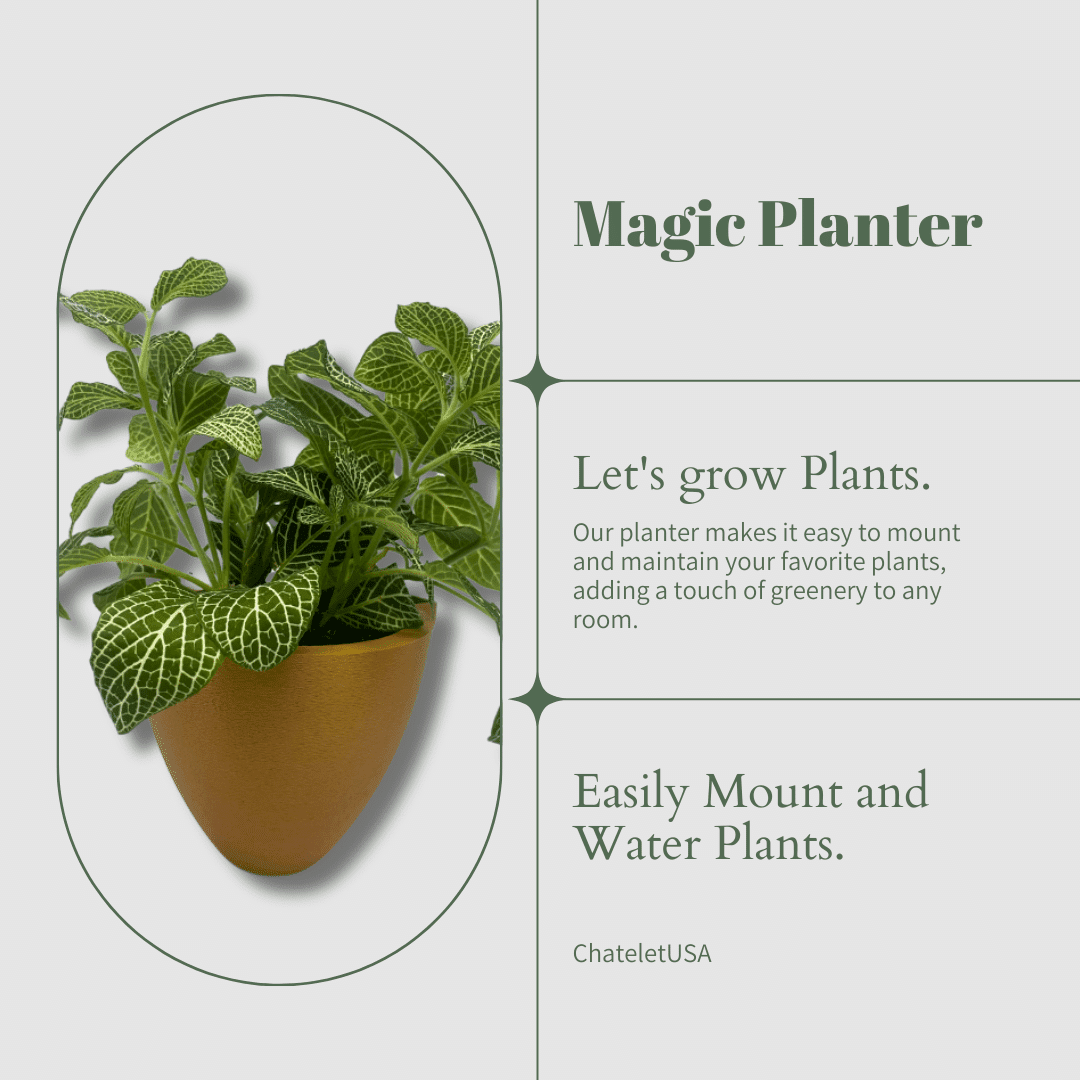 Magic Wall Planters | Easy Care Self Watering Wall Planters with Internal Water Reservoir