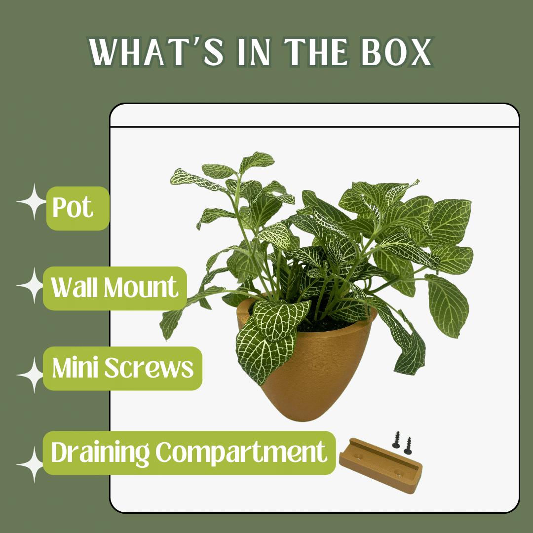 Magic Wall Planters | Easy Care Self Watering Wall Planters with Internal Water Reservoir