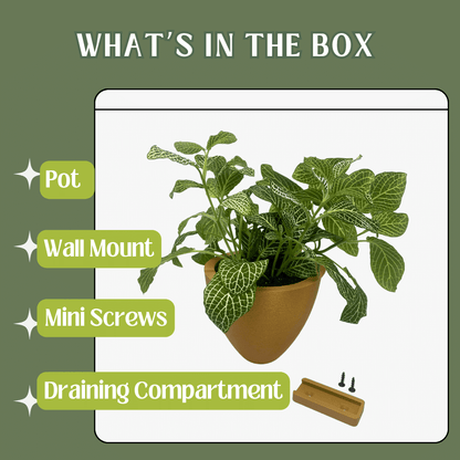 Magic Wall Planters | Easy Care Self Watering Wall Planters with Internal Water Reservoir