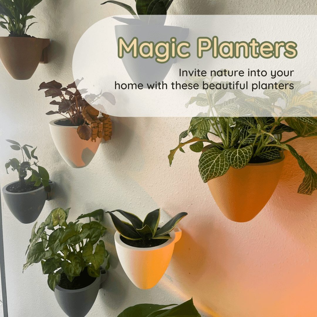 Magic Wall Planters | Easy Care Self Watering Wall Planters with Internal Water Reservoir