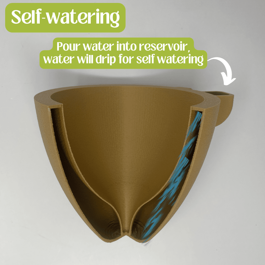 Magic Wall Planters | Easy Care Self Watering Wall Planters with Internal Water Reservoir