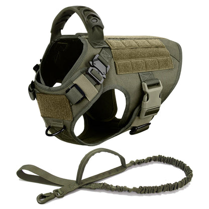 Dog Harness, Walking Vest  And Leash Set