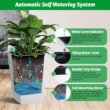 Set of 2 Self Watering Plant Pots