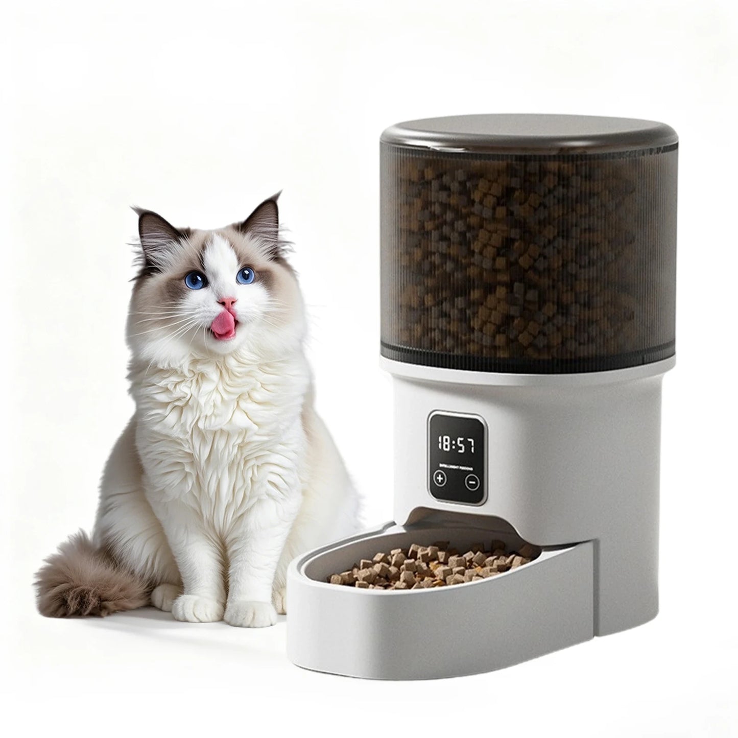 4L Automatic Pet Feeder