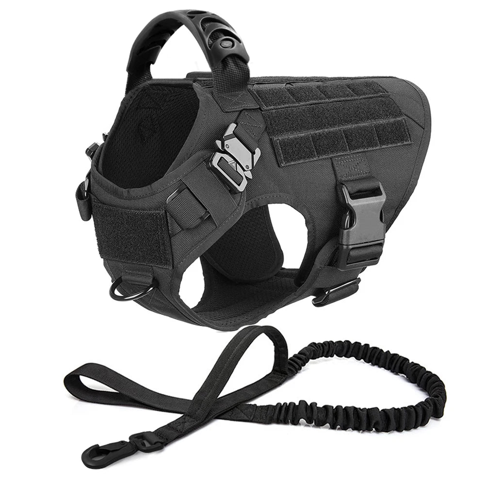 Dog Harness, Walking Vest  And Leash Set