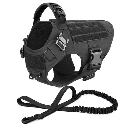 Dog Harness, Walking Vest  And Leash Set