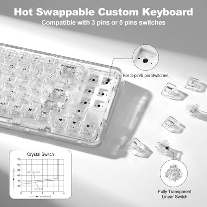 Transparent Gaming Keyboard with Clear Keycaps
