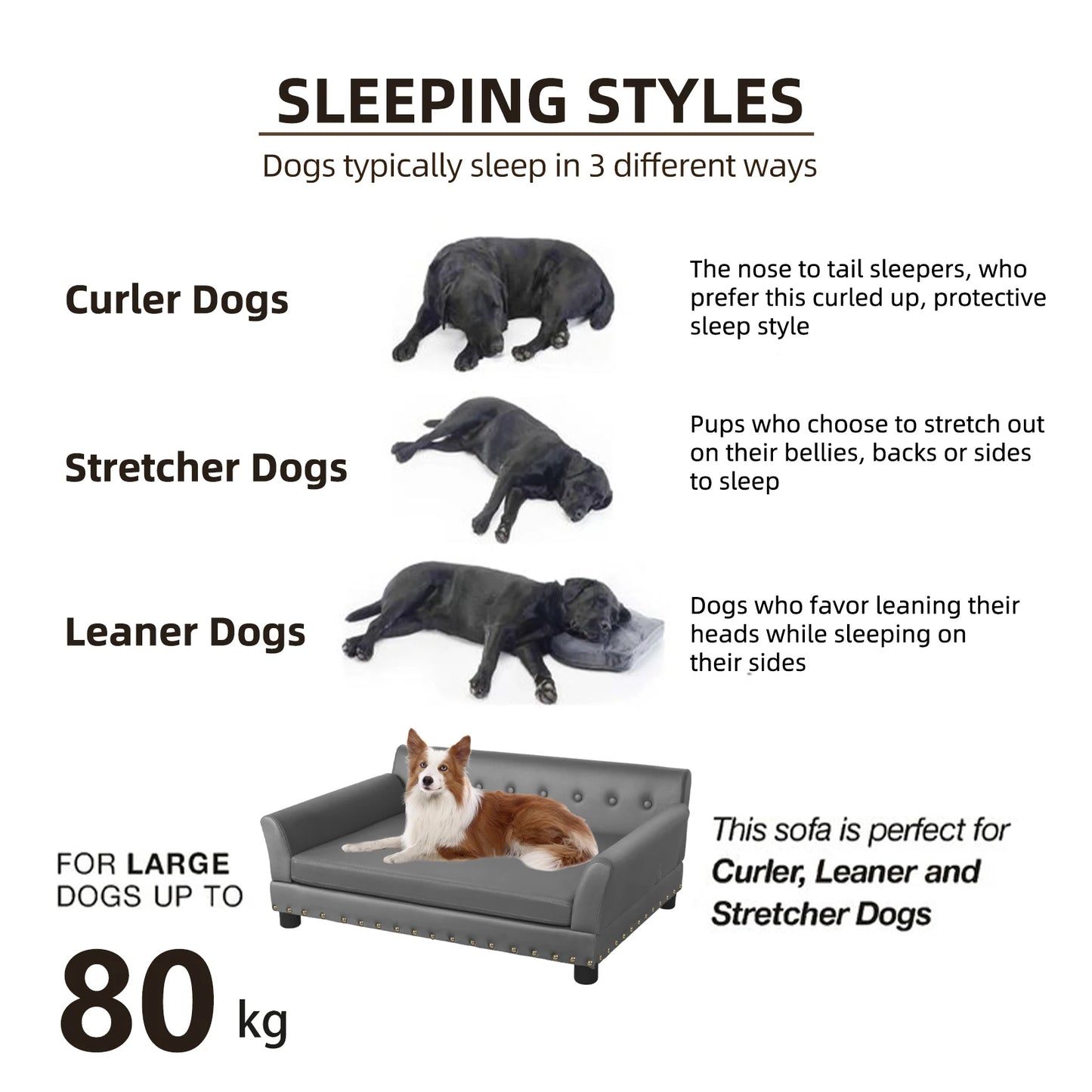 Elevated Dog Sofa