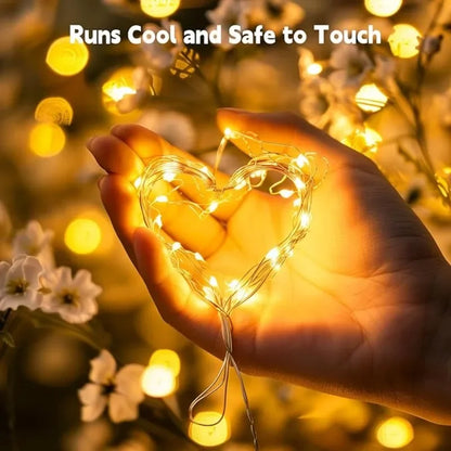 LED  Battery Operated String Lights