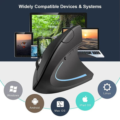 Ergonomic Wireless Optical Mouse