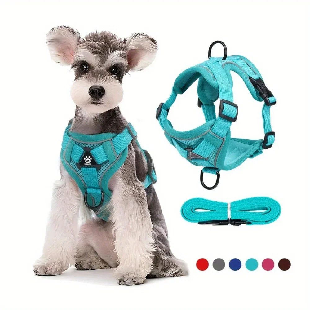 No Pull Pet Harness and Leash Set