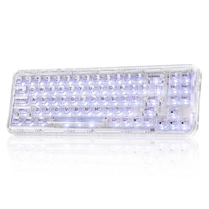 Transparent Gaming Keyboard with Clear Keycaps