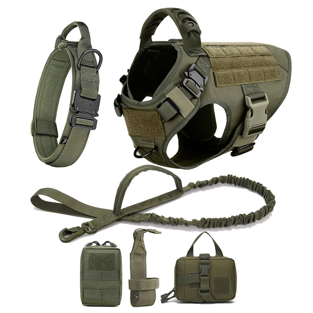 Dog Harness, Walking Vest  And Leash Set