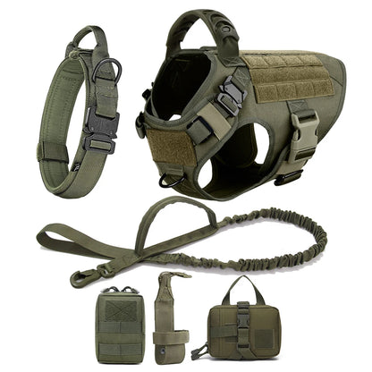 Dog Harness, Walking Vest  And Leash Set