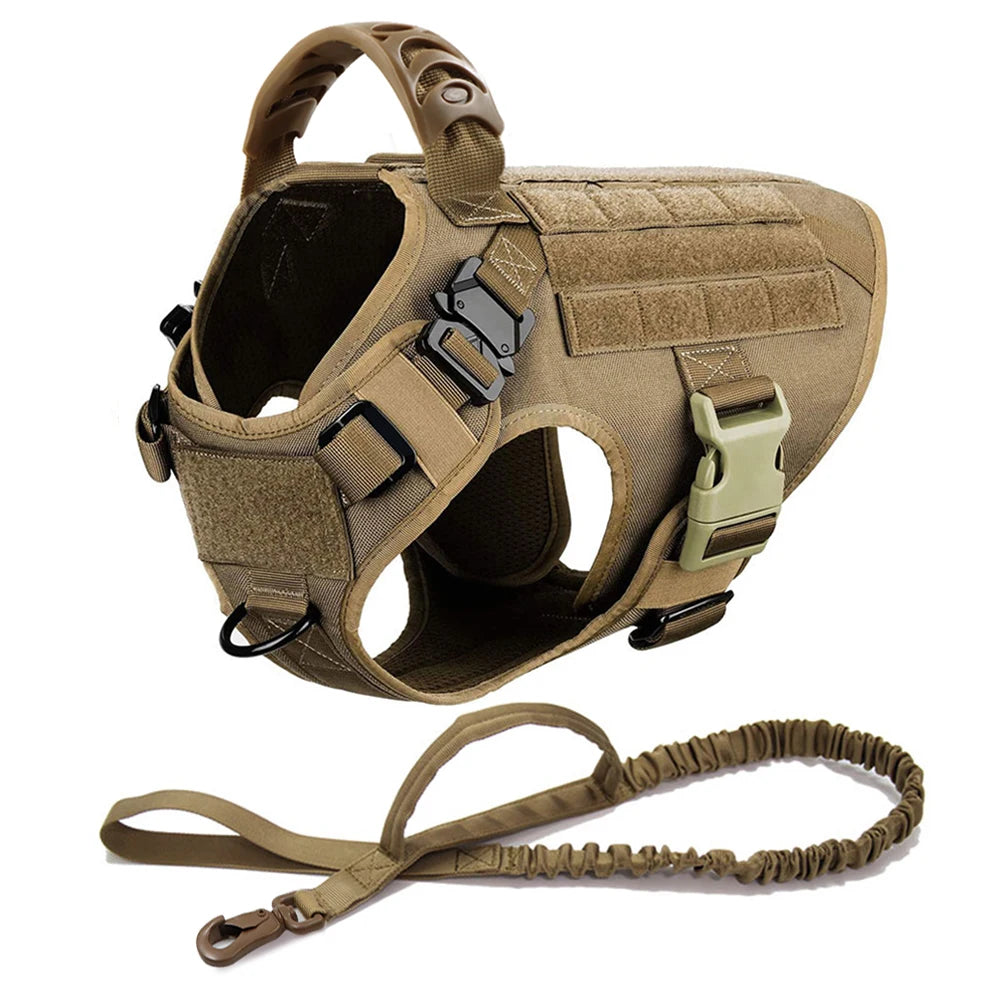 Dog Harness, Walking Vest  And Leash Set