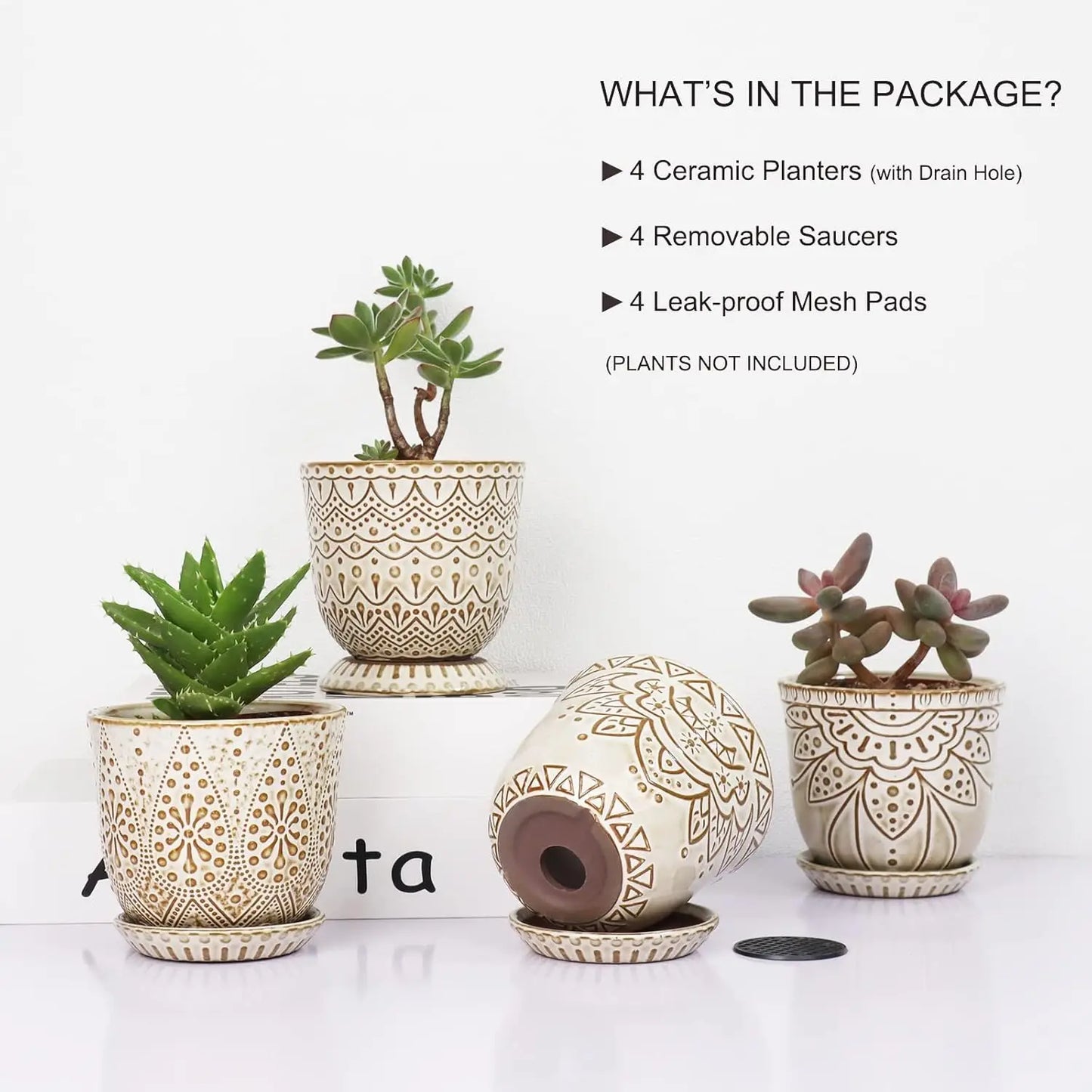 Set of 4 Ceramic Plant Pots