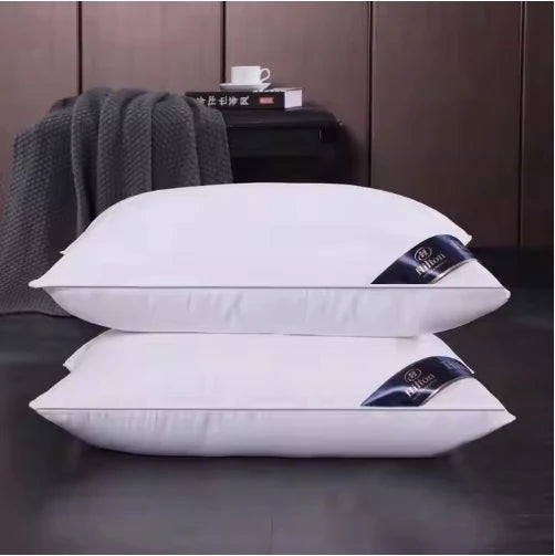 Luxury Hotel Hilton Pillows