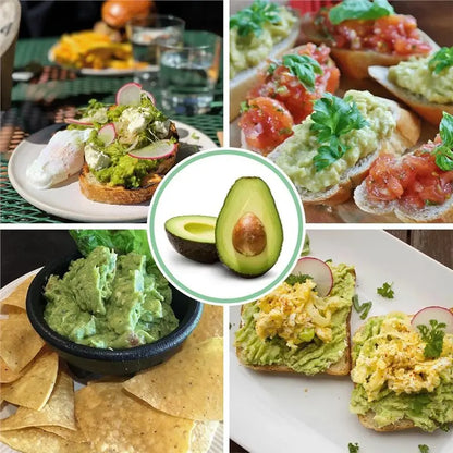 Avocado-Guacamole Keeper With Air Tight Lid