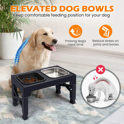 2-in-1 Elevated Slow Feeder & Water Bowls