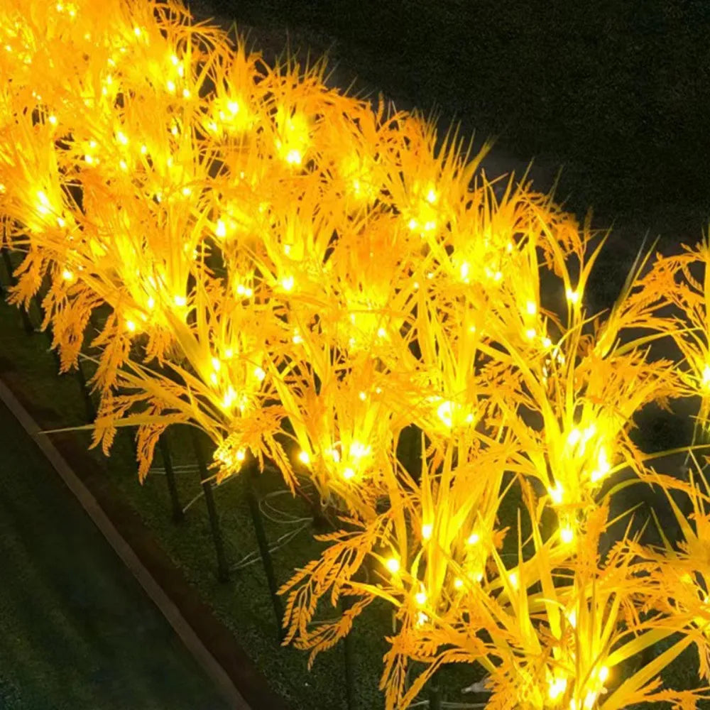 Solar powered wheat light