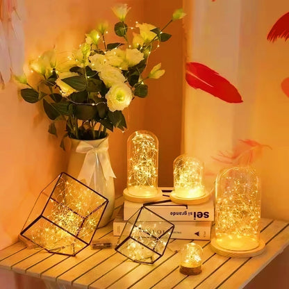 LED  Battery Operated String Lights