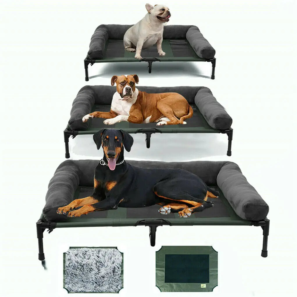 Elevated Pet Lounger Bed