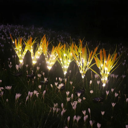 Solar powered wheat light