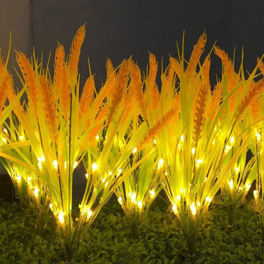 Solar powered wheat light