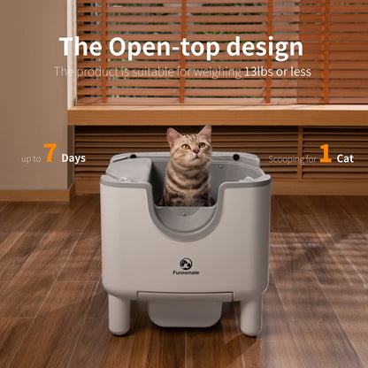 Self-Cleaning Litter Box - Open-Top