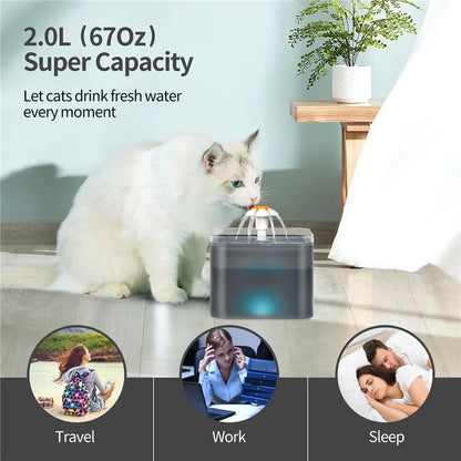 2L Automatic Pet Water Dispenser