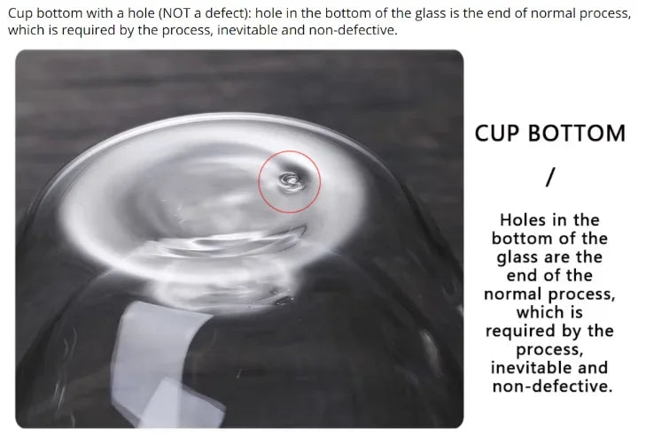 Double Wall Glass Cup